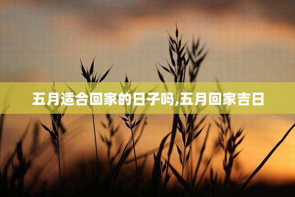 五月适合回家的日子吗,五月回家吉日