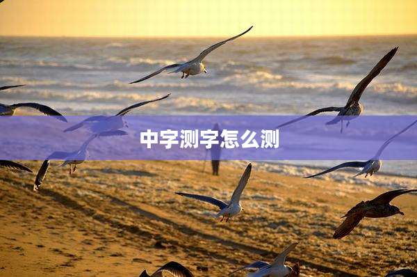 中字测字怎么测