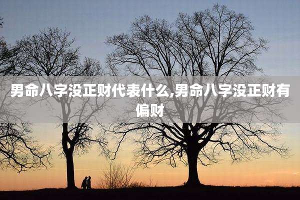 男命八字没正财代表什么,男命八字没正财有偏财