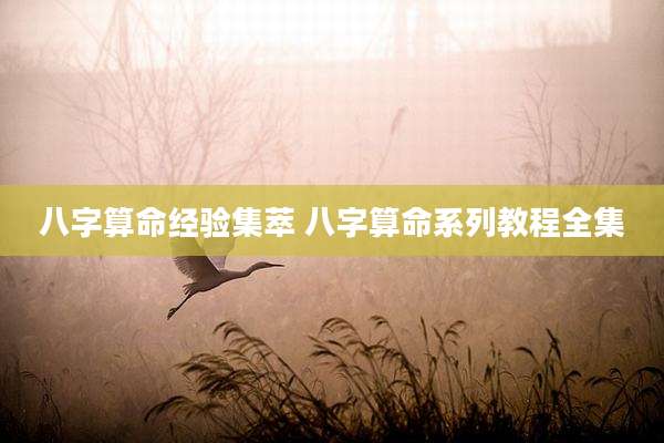 八字算命经验集萃 八字算命系列教程全集