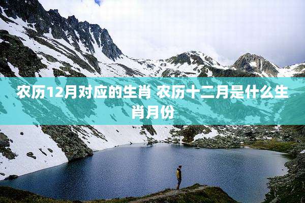 农历12月对应的生肖 农历十二月是什么生肖月份