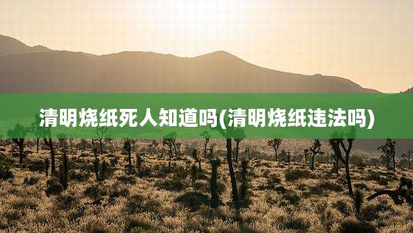 清明烧纸死人知道吗(清明烧纸违法吗)