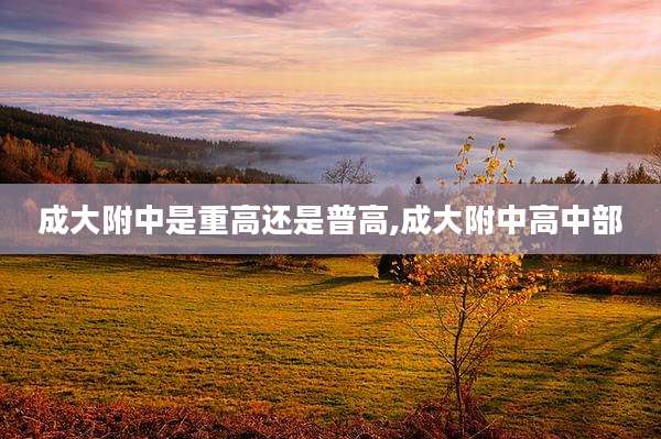 成大附中是重高还是普高,成大附中高中部