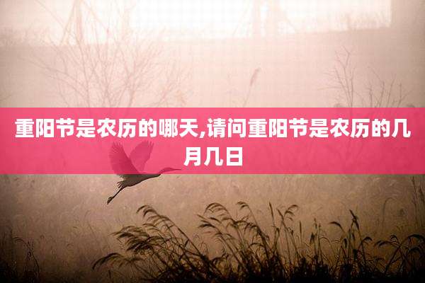 重阳节是农历的哪天,请问重阳节是农历的几月几日