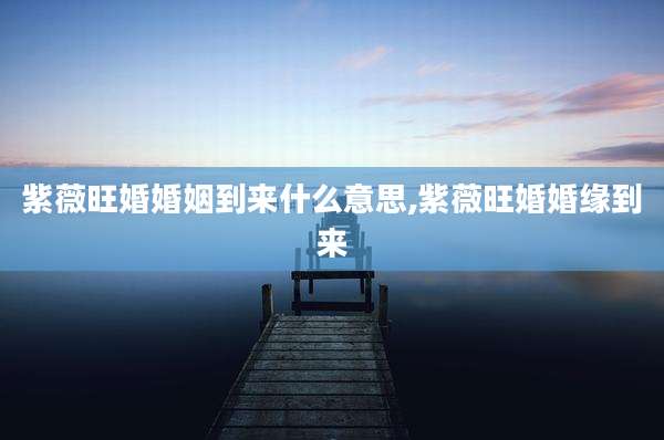 紫薇旺婚婚姻到来什么意思,紫薇旺婚婚缘到来