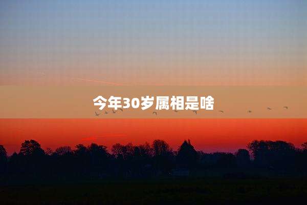 今年30岁属相是啥