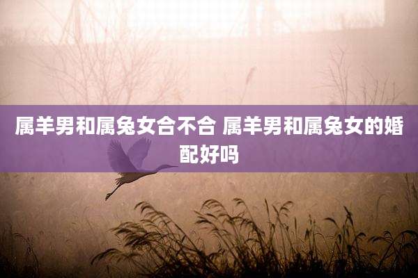 属羊男和属兔女合不合 属羊男和属兔女的婚配好吗