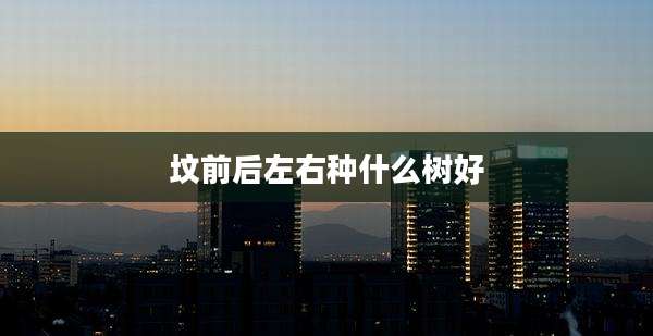 坟前后左右种什么树好