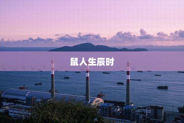 鼠人生辰时