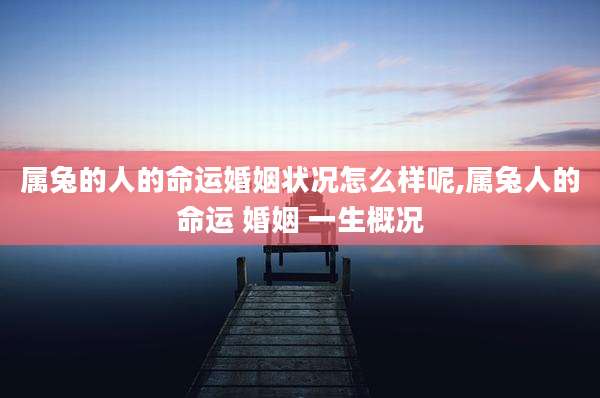 属兔的人的命运婚姻状况怎么样呢,属兔人的命运 婚姻 一生概况