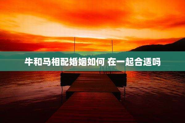 牛和马相配婚姻如何 在一起合适吗