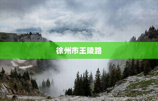 徐州市王陵路