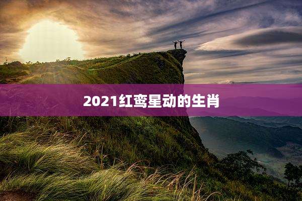2021红鸾星动的生肖