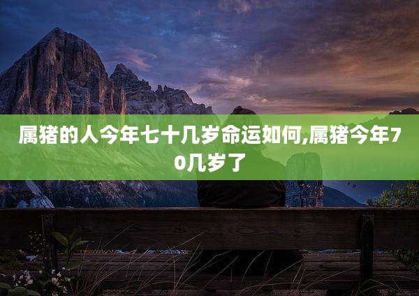属猪的人今年七十几岁命运如何,属猪今年70几岁了