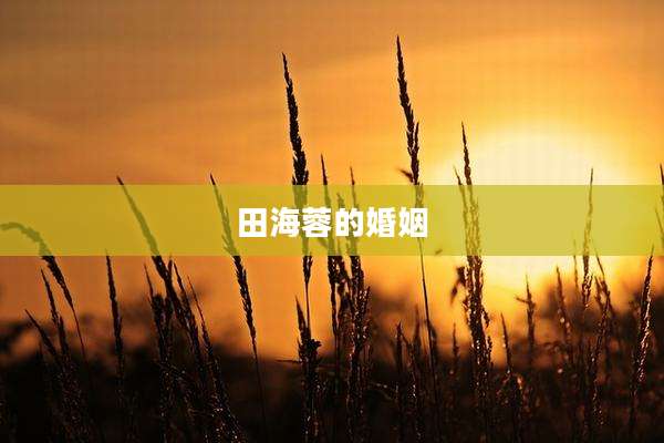 田海蓉的婚姻
