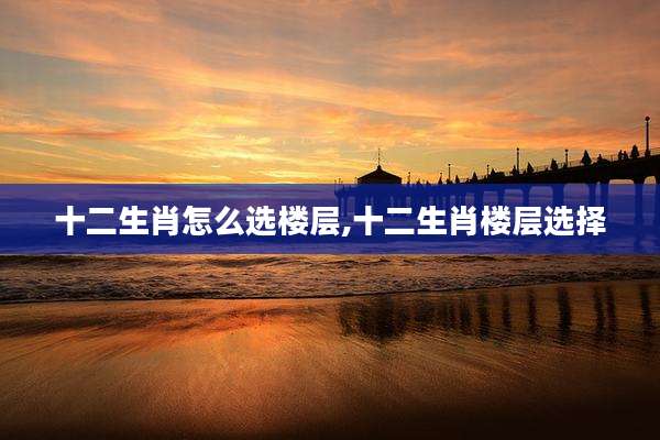 十二生肖怎么选楼层,十二生肖楼层选择