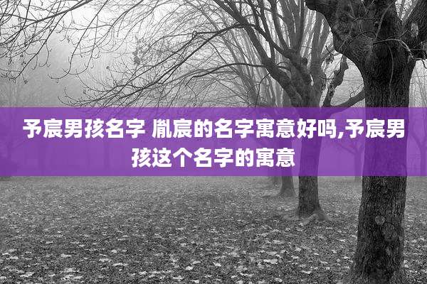予宸男孩名字 胤宸的名字寓意好吗,予宸男孩这个名字的寓意