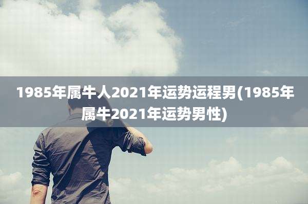 1985年属牛人2021年运势运程男(1985年属牛2021年运势男性)