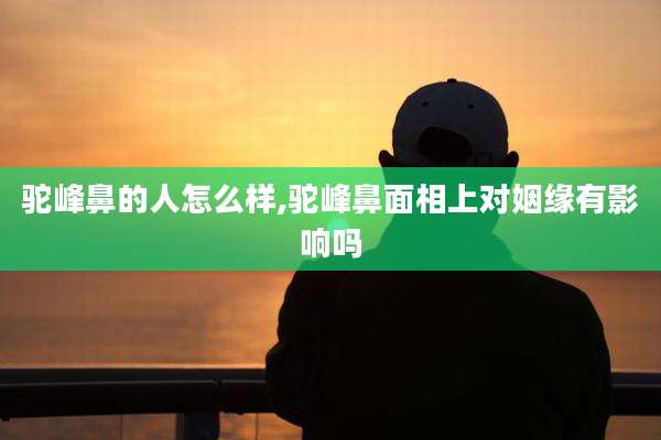 驼峰鼻的人怎么样,驼峰鼻面相上对姻缘有影响吗