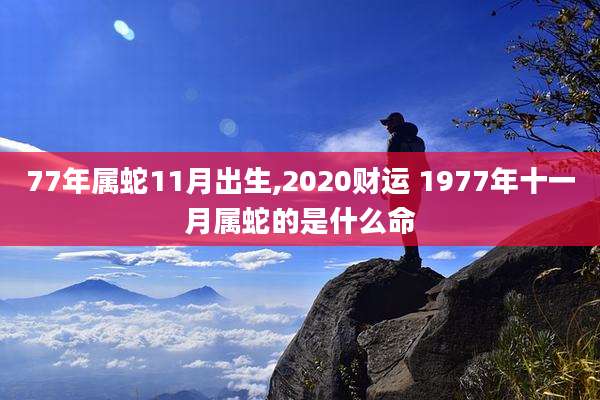 77年属蛇11月出生,2020财运 1977年十一月属蛇的是什么命