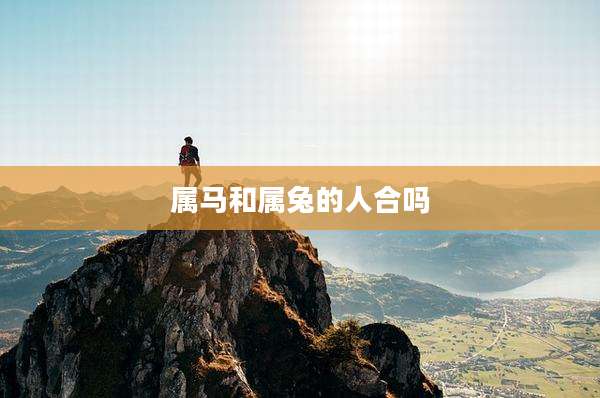 属马和属兔的人合吗