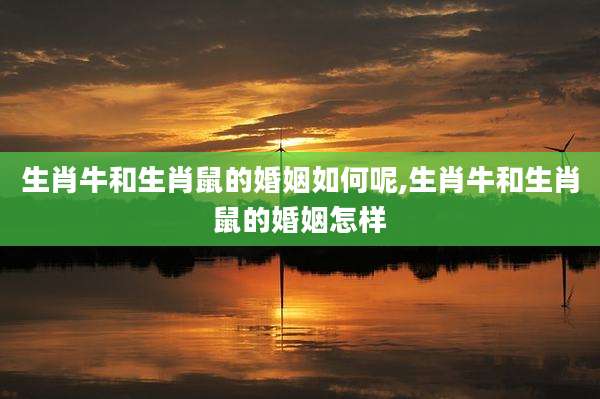 生肖牛和生肖鼠的婚姻如何呢,生肖牛和生肖鼠的婚姻怎样