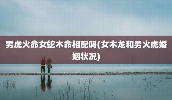 男虎火命女蛇木命相配吗(女木龙和男火虎婚姻状况)