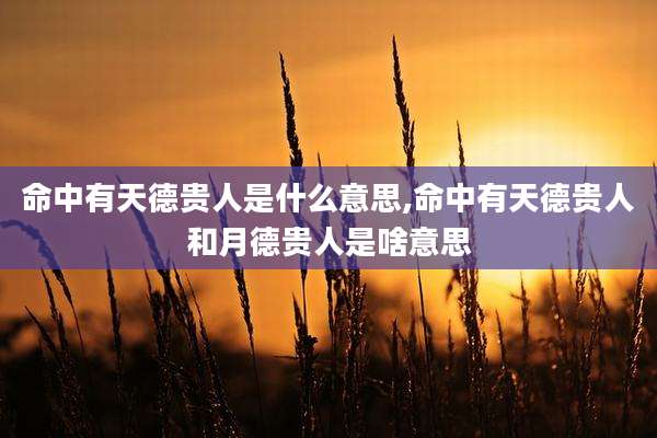 命中有天德贵人是什么意思,命中有天德贵人和月德贵人是啥意思