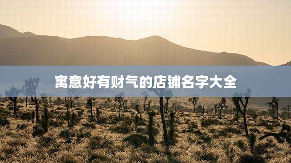 寓意好有财气的店铺名字大全