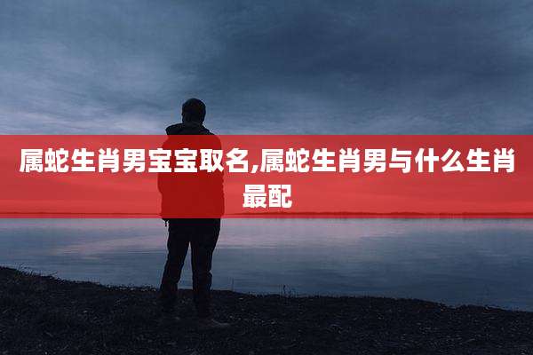 属蛇生肖男宝宝取名,属蛇生肖男与什么生肖最配