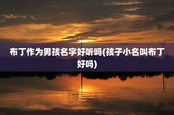 布丁作为男孩名字好听吗(孩子小名叫布丁好吗)