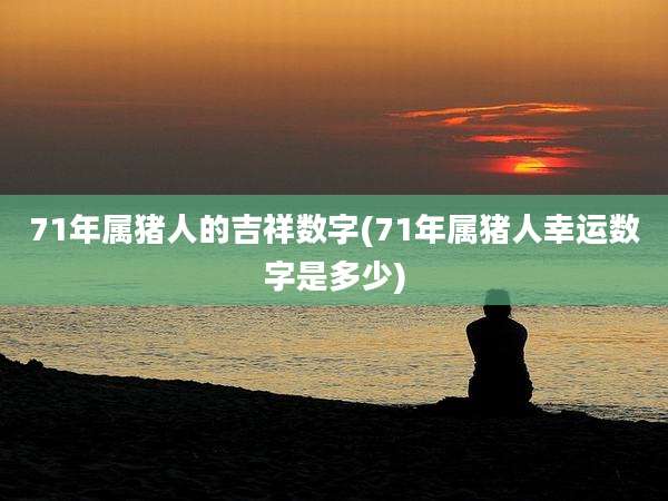 71年属猪人的吉祥数字(71年属猪人幸运数字是多少)