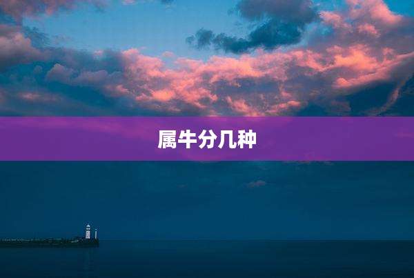 属牛分几种