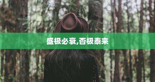 盛极必衰,否极泰来