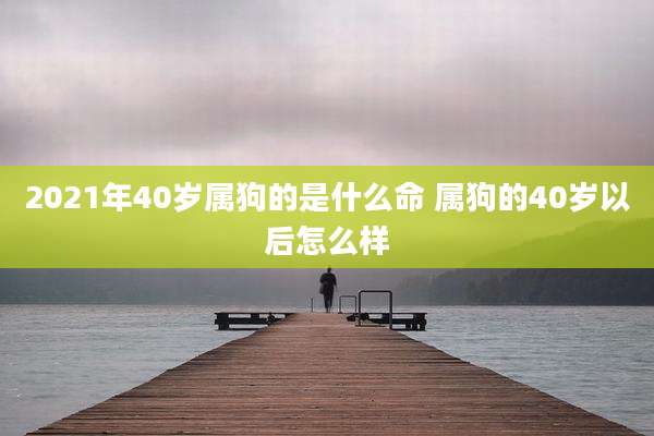 2021年40岁属狗的是什么命 属狗的40岁以后怎么样