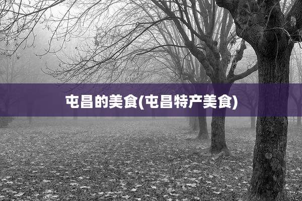 屯昌的美食(屯昌特产美食)