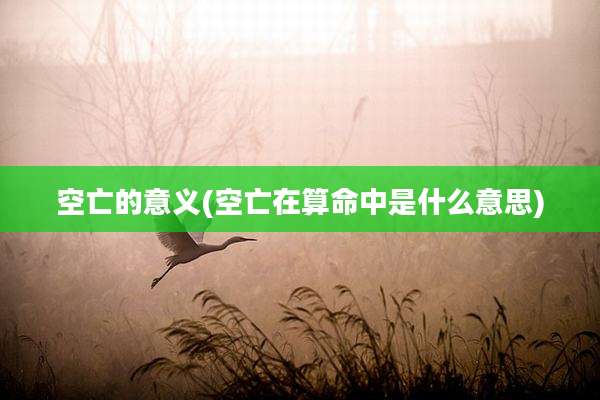 空亡的意义(空亡在算命中是什么意思)