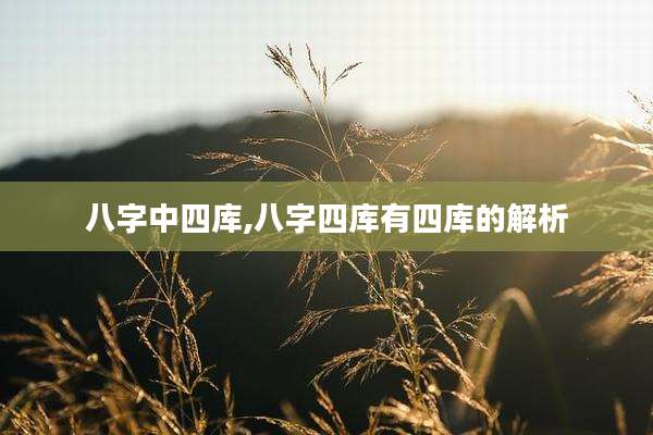 八字中四库,八字四库有四库的解析