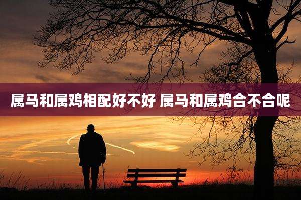 属马和属鸡相配好不好 属马和属鸡合不合呢