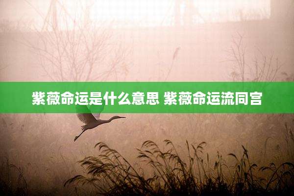 紫薇命运是什么意思 紫薇命运流同宫