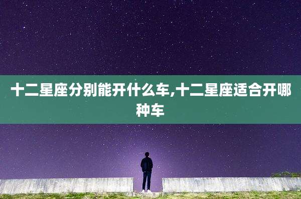 十二星座分别能开什么车,十二星座适合开哪种车