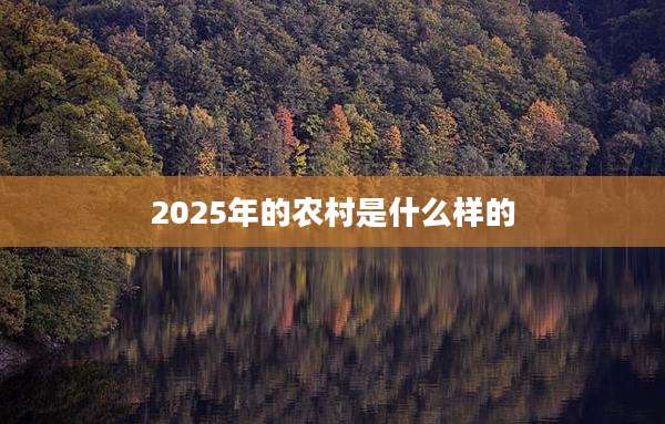2025年的农村是什么样的
