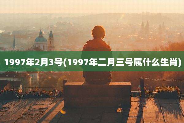 1997年2月3号(1997年二月三号属什么生肖)