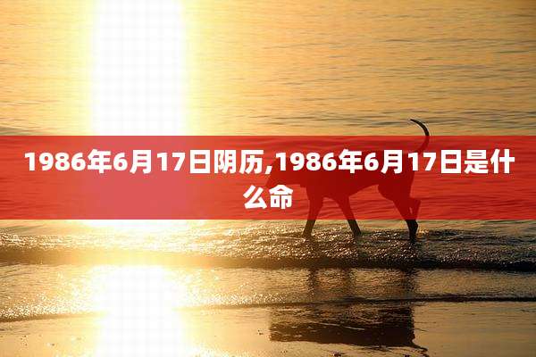 1986年6月17日阴历,1986年6月17日是什么命