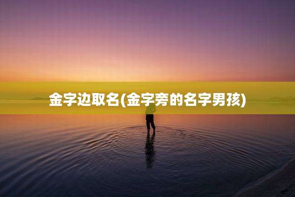 金字边取名(金字旁的名字男孩)