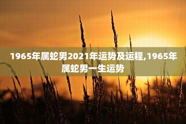 1965年属蛇男2021年运势及运程,1965年属蛇男一生运势