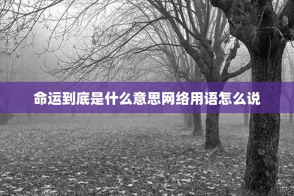 命运到底是什么意思网络用语怎么说
