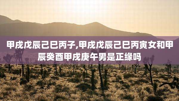 甲戌戊辰己巳丙子,甲戌戊辰己巳丙寅女和甲辰癸酉甲戌庚午男是正缘吗