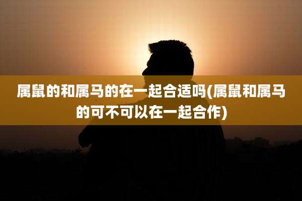 属鼠的和属马的在一起合适吗(属鼠和属马的可不可以在一起合作)