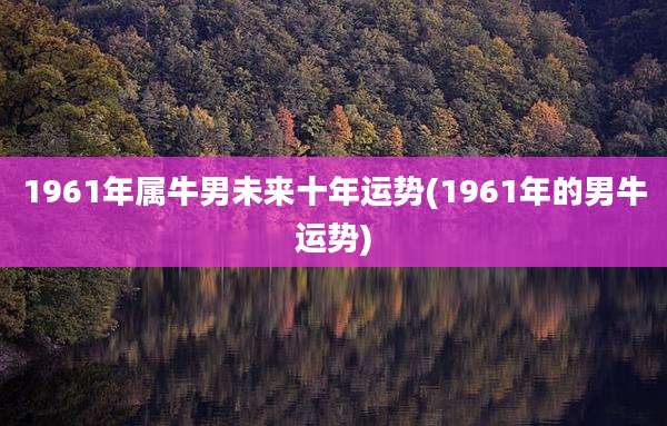 1961年属牛男未来十年运势(1961年的男牛运势)